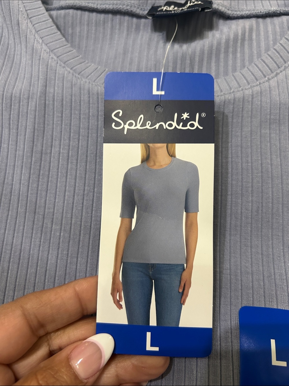 Splendid Ribbed Crewneck Tee in Slate Blue - Picture 5 of 9